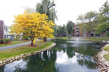 Sparkling ponds with fountains